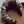 Load image into Gallery viewer, Mini Mega Scrunchiepanta Sandbeige
